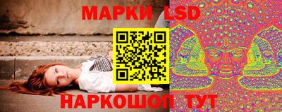 СК Новокубанск