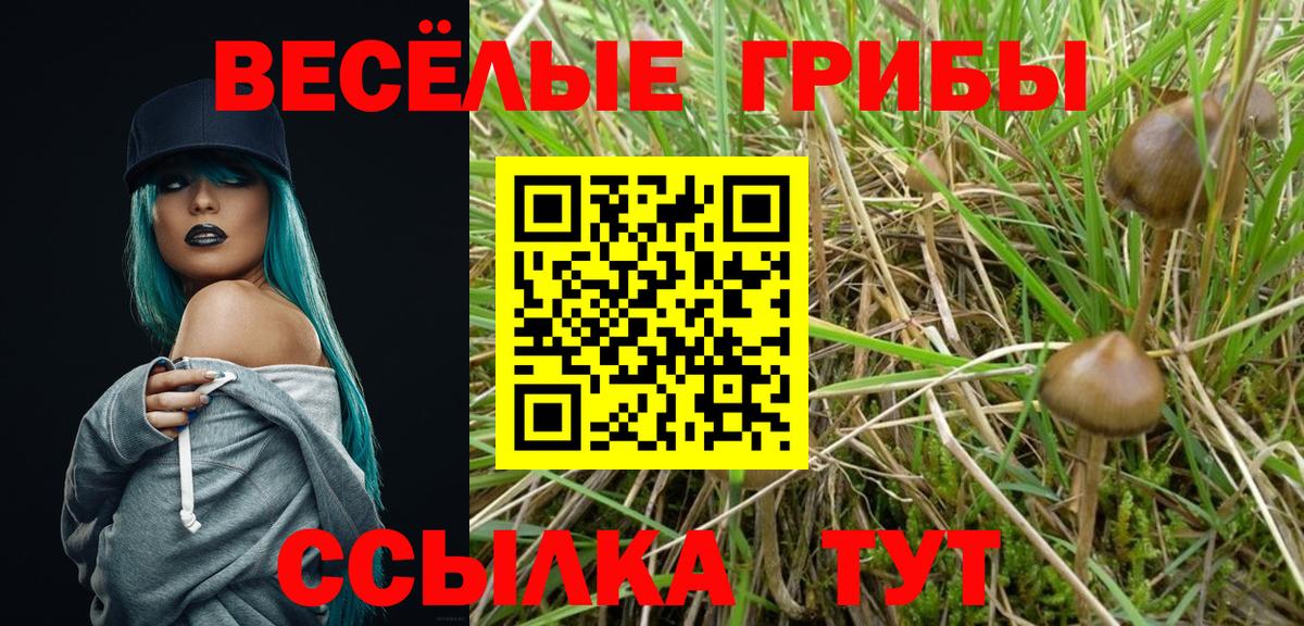 Галлюциногенные грибы мухоморы  Псилоцибиновые грибы MAGIC MUSHROOMS  Славянск-на-Кубани  Вход с VPN 